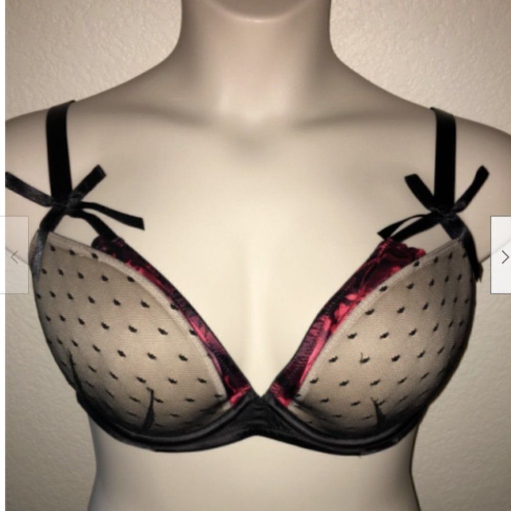 Cacique Bra Sophie Theallet 36DD Underwire NWT